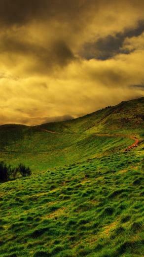 Orange Landscape iPhone 5s Wallpaper