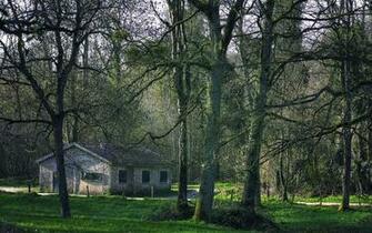 Cabin In The Woods Wallpaper