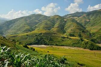 Sapa And Its Traditional Villages In The Countryside Photos Of