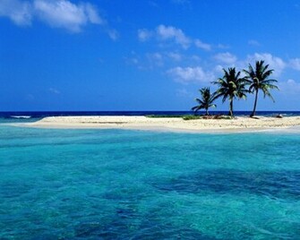 Wallpaper Blue Ocean Beach Trees Sea