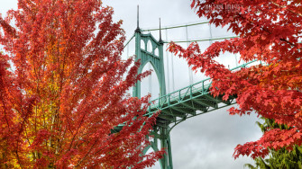 Wallpaper 4k Bridge Trees Bright Autumn Cathedral Park
