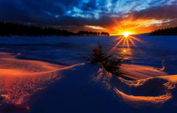 Wallpaper Forest Winter Sky Trees Landscape Nature Sunset