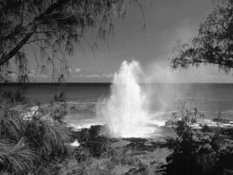 Black And White Wallpaper Beach Landscape HD