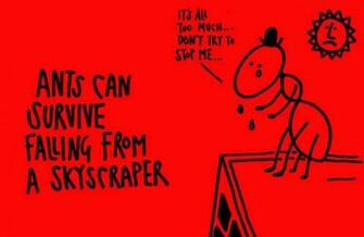Funny Weird Facts Desktop Wallpaper