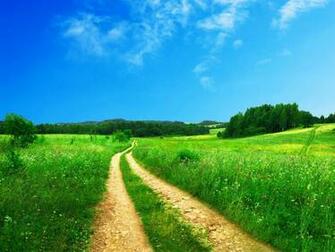 Site Design Copyright Computerwallpaper Net