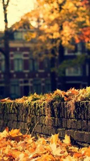 Fall iPhone Wallpaper HD Lock Screen