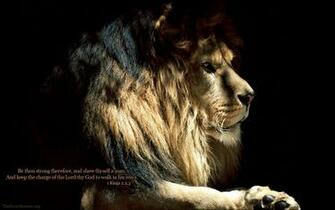 Wallpaper Lion Of The Tribe Judah