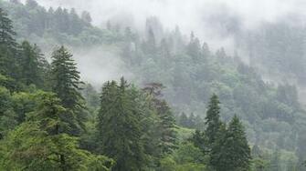 Smoky Mountain Desktop Background Wallpaper Jpg