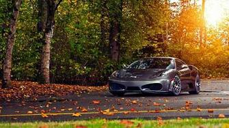 Wallpaper Trees Leaves Ferrari F430 Scuderia
