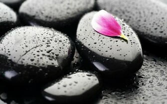Stone Flower Desktop Pc And Mac Wallpaper