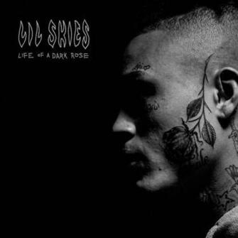 Lil Skies Life Of A Dark Rose Husband Rap Album