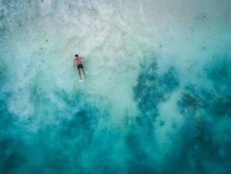 Beach Swimming Tulum Tropical Sea