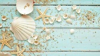 Seashells Wallpaper Collection Most Beautiful Places In