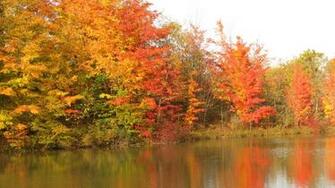 Photo Fall Orange Red Leaves Jooinn