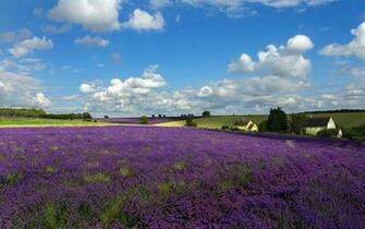 Top Beautiful Provence Photos FHDq Bsnscb Graphics