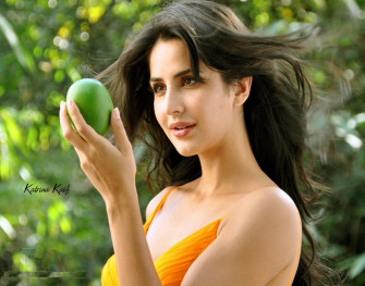 Beautiful Katrina Kaif HD Wallpaper