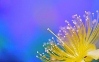 Nature Spring 4k Ultra HD Wallpaper