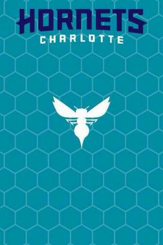 Charlotte Hornets Logo Variation