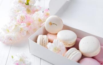 Wallpaper White Pink Flowers French Macaron Pastel Macaroon