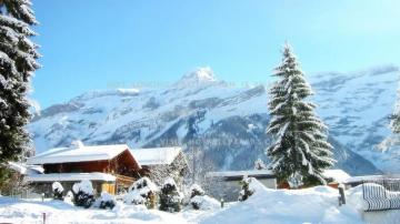 Chalet On Sunny Winter Day Trees Mountains