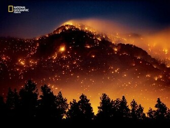 Forest Fire Wallpaper