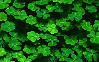 Luck Desktop Wallpaper HD