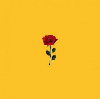 Lily Albiero On Yellow Aesthetic