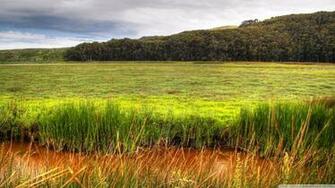 Wetland 4k HD Desktop Wallpaper For Ultra Tv Wide