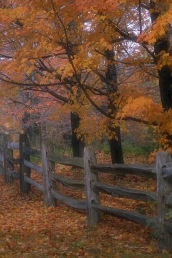 Country Fence iPhone Wallpaper