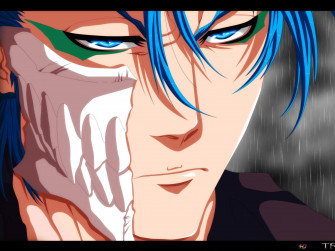 Grimmjow Jaegerjaquez Wallpaper