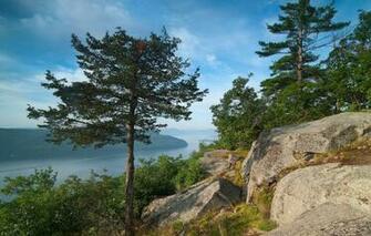 Wallpaper Trees Lake Stones Panorama New York The State Of