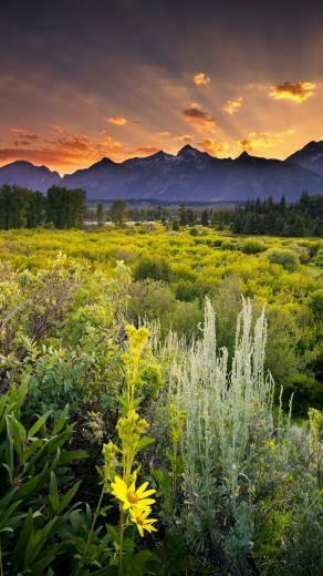 Grand Teton National Park 4k Ultra HD Wallpaper