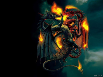 Draak Wallpaper