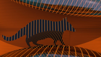Noble Numbat Wallpaper