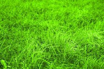 X Photo Nature Nature003 Wallpaper Background To