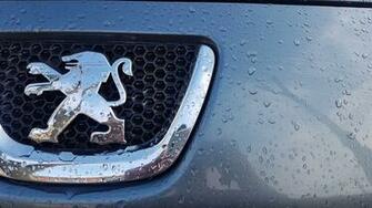 Wallpaper Abstract Design Decoration Peugeot Logo Photo