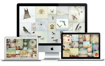 Wallpaper Live Real Time Instagram Feeds As Your Desktop Background