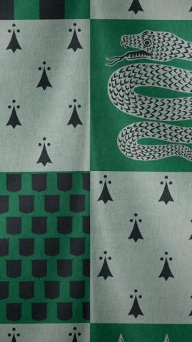 Slytherin iPhone Wallpaper Live HD