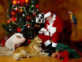 Christmas Wallpaper HD Pictures