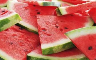 Watermelon Related Keywords Amp Suggestions