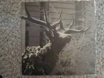 Agalloch Wallpaper