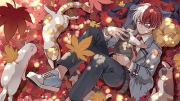 Shoto Todoroki Cats 4k Wallpaper