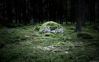 High Definition Wallpaper Photo Ultra Html