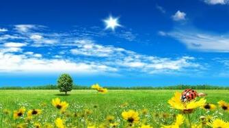 Background Spring Wallpaper Top Best HD For Desktop