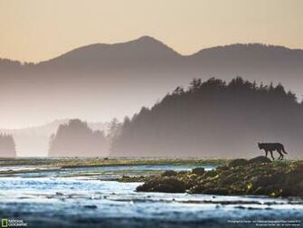 Pacific Northwest Wallpaper