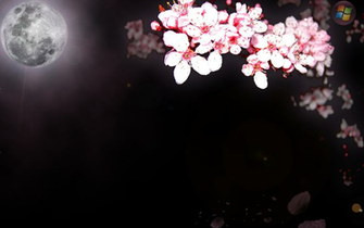 Cherry Blossom Wallpaper