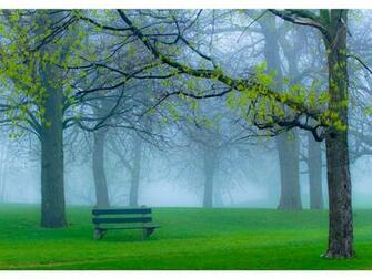 Spring Park Fog And Bench X Close