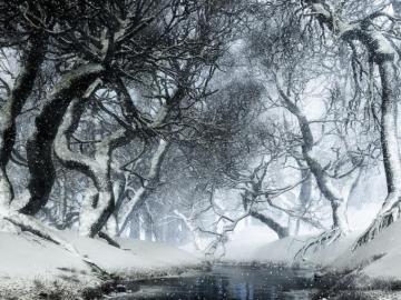 Canopy Creek Winter Digital Blasphemy