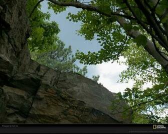 This Photo Is From Camp Appalachian Trail Virginia