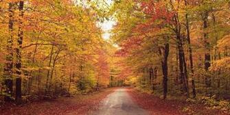 First Day Of Fall The Autumnal Equinox Is Here